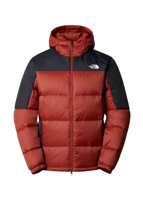 DIABLO HOODE DOWN JACKET BRANDY BROWN MEN THE NORTH FACE | Jackets | NF0A4M9L-WEW1